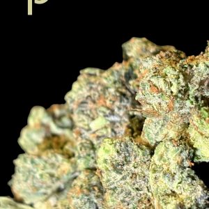 Master Kush