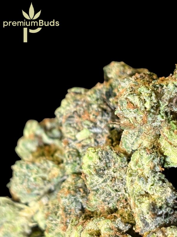 Master Kush