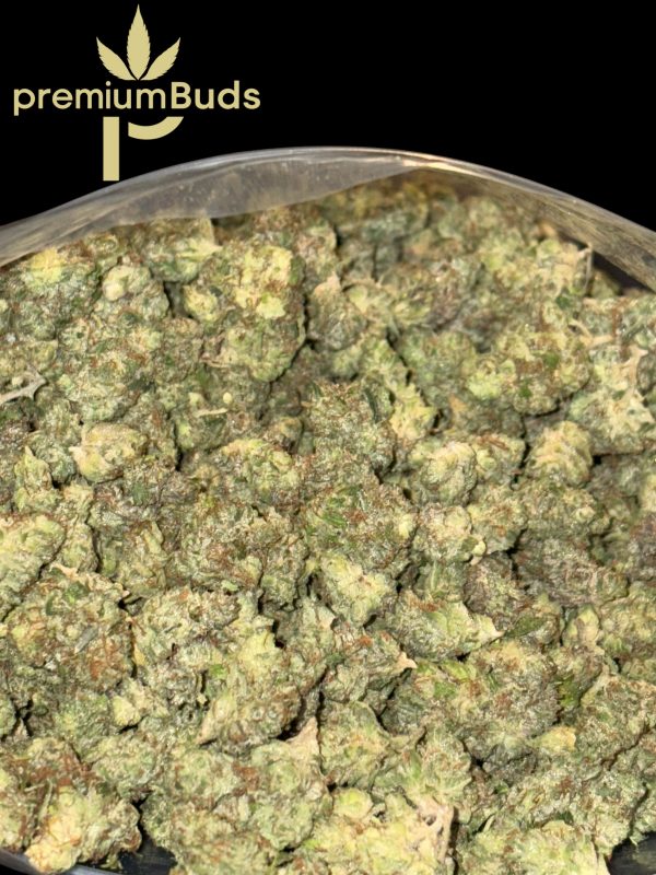 Master Kush - Image 2