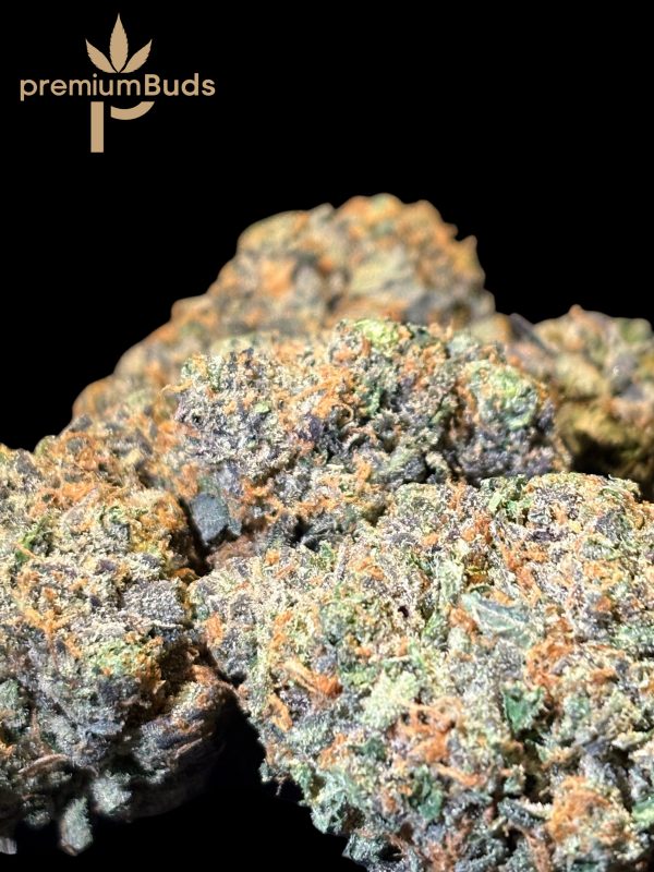 Platinum Rockstar